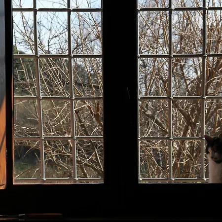 Al Vecchio Fontanile Ladispoli