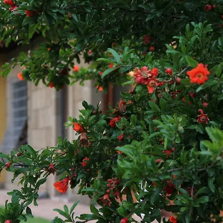 Al Vecchio Fontanile Bed & Breakfast 4*